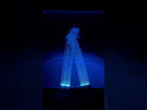 5124007061