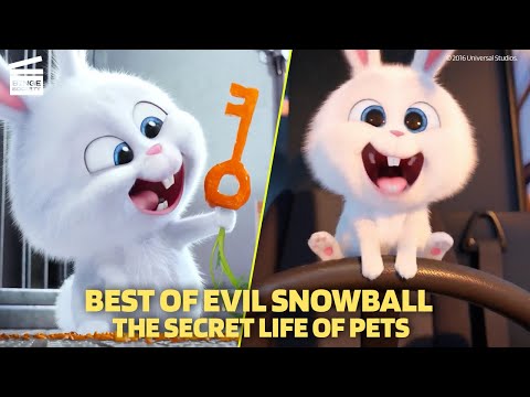 Best of Evil Snowball | The Secret Life of Pets | Cartoon For Kids