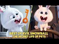 Best Of Evil Snowball The Secret Life Of Pets Cartoon For Kids