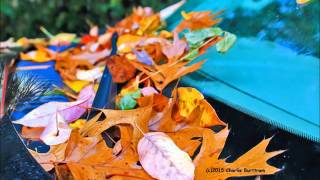 Micky and the Motorcars - &quot;Ain&#39;t In It For The Money&quot;