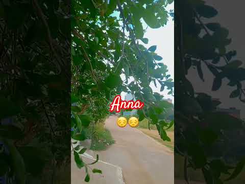 #lovesong #nature #love #music 😔😔😔😔😔😔😔😔😔