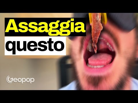 Come fa il nostro cervello a riconoscere i diversi sapori? La spiegazione scientifica con un esempio