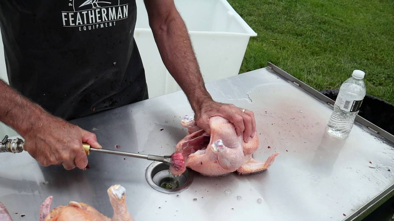 Featherman Equipment Lung Rake