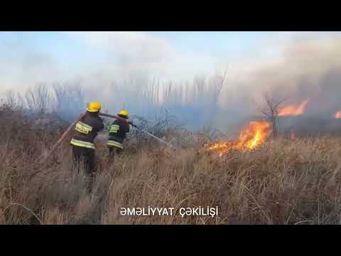 FHN Mətbuat xidmətinin məlumatı