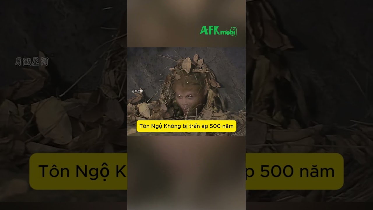 Vì sao Thiên Đình phải chờ 500 năm để Tôn Ngộ Không dẫn đoàn đi thỉnh kinh?