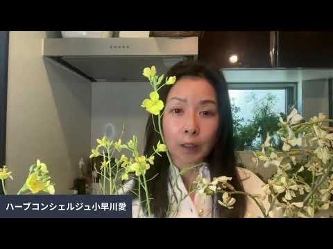 医療ビジネス薬科学科 ルッコラとセルバチコの花をご紹介