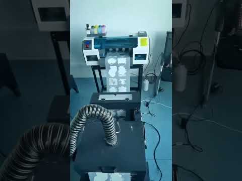 Masterprint Mp-301 Economy Dtf Printer With Shaker Oven - 12 Inch