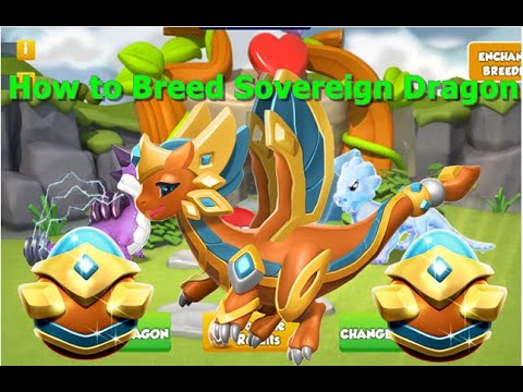 How to Breed Sovereign Dragon-Dragon Mania Legends | Dragon of The Week Sovereign Dragon | DML