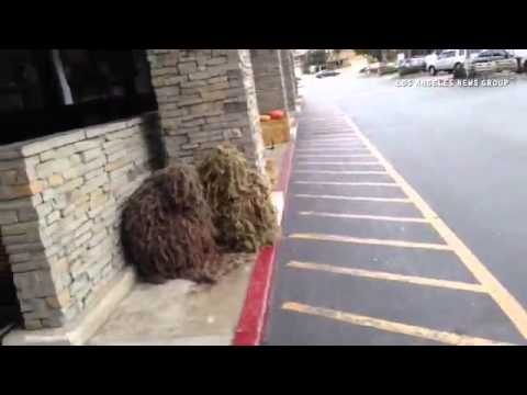 In Redondo Beach, 2 teen boys bushwhacked unsuspecting passersby for Halloween