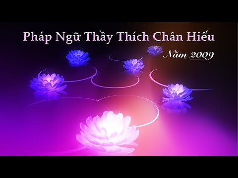 087. Thật vì sanh tử • Cần tinh tấn - Thầy Thích Chân Hiếu - 2009