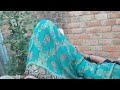 Rajani Devi HMP Is Live
