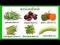 காய் காய் காய்கறிகள்  | Learn vegetables names in Tamil for kids and children - Tami