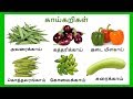 காய் காய் காய்கறிகள் Learn Vegetables Names In Tamil For Kids An