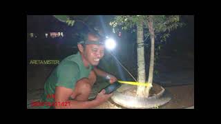 Download lagu MEETING THE LEGENDARY SPIRIT WHISPERER #ganang_setioko mp3