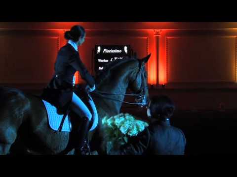 Bon homme 2011 Hengstvorstellung Teil 6