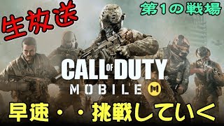 真夜中にこっそり生配信　早速・・チャレンジしていく！　【Call of Duty】テスト配信　【生放送　50日目】