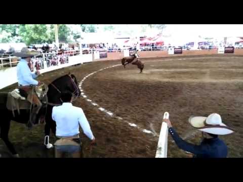 Alejandro Almora como jinete de yegua