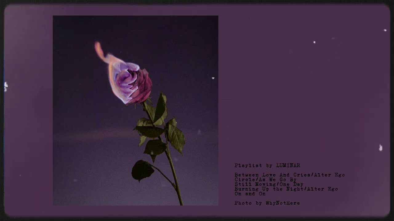 🥀Late Night Playlist | Burning a Rose｜Romantic Indie Music