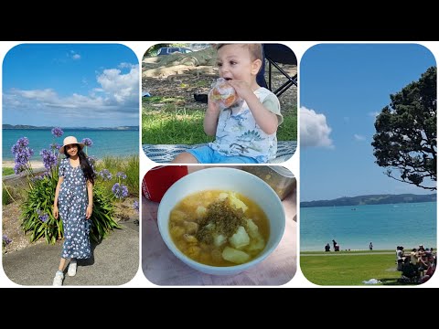 Family Picnic at the beach