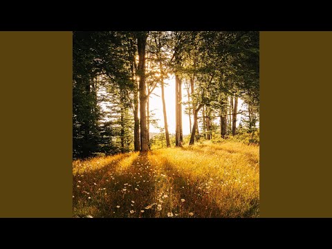 download lagu mp3 mp4 Bloom In The Dark, download lagu Bloom In The Dark gratis, unduh video klip Bloom In The Dark