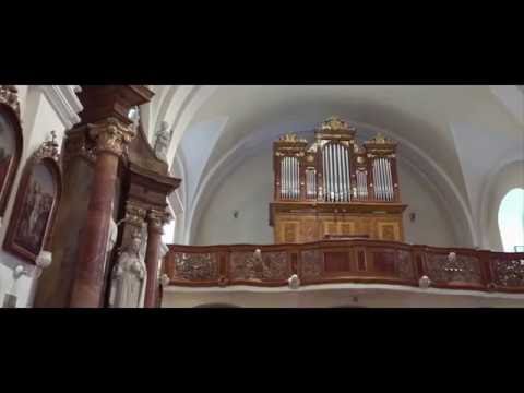 Fčeličky - Fčeličky - Andělské přátelství (Loutna česká)