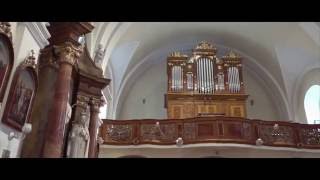 Video Fčeličky - Andělské přátelství (Loutna česká)