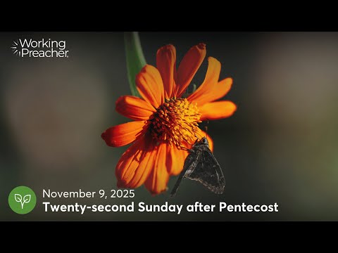 Sermon Brainwave 1051: Twenty-second Sunday after Pentecost - November 9, 2025