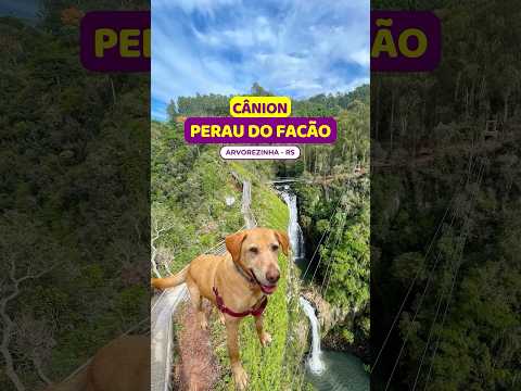 😱ELEITA a cascata MAIS LINDA do Rio Grande do Sul: Cascata do Cânion Perau do Facão | Arvorezinha