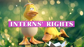 Interns' rights