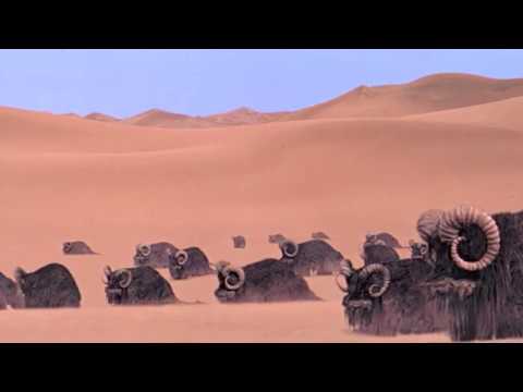 "May The Force Be With You" (Violin & Piano)