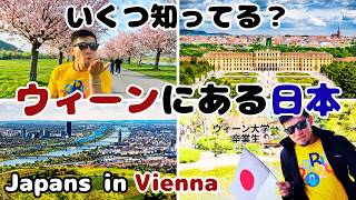 ウィーン観光で絶対行ってほしい!ウィーンの中に広がる「日本の絶景」9選!あのハプスブルク皇太子が愛した日本庭園から、姉妹都市の裏話まで、元ウィーン大学生が全身全霊で案内します!
