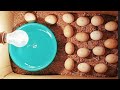 How to Make Incubator At Home.And Hatch Chicken Eggs#Low cost