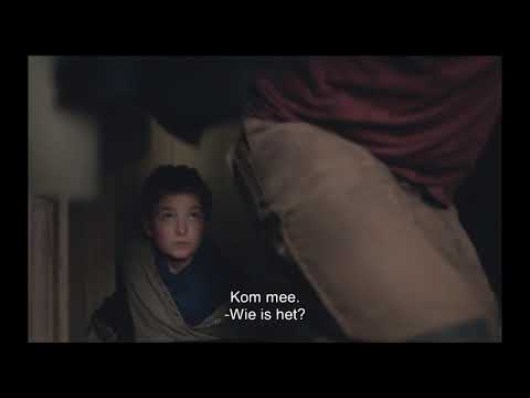 Light of my life NL - 15s nu