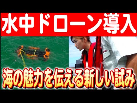 オリジナルのスイミングプール - 素晴らしいデザインを作成するためのアイデアとヒント!  庭園