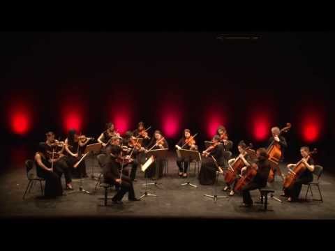 Edward Elgar: Streicherserenade e-Moll op.20 - Kammerorchester der HMT-Rostock