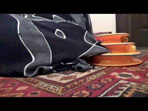 Is It A Cat Or A Mystery Creature?