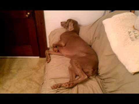 Bath time for Maera.