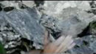 Psyche - climbing film trailer