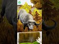 Giant Wolf VS Bull Fight @Animal Epic Battle Compilation