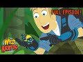 Tenrec Treasure Hunt Season 3 Full Episode Animals For Kids Wild Kratts