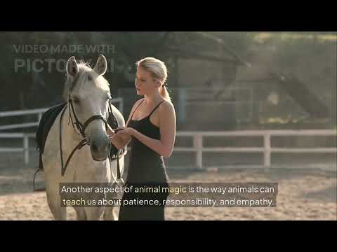 ngày 26 tháng 11, 2025