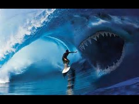 Shark attacks Surfer Mick Fanning  & Surf Music Dick Dale Big Wave Surfing Video