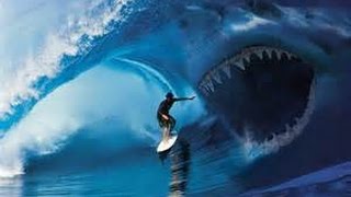 Shark attacks Surfer Mick Fanning  & Surf Music Dick Dale Big Wave Surfing