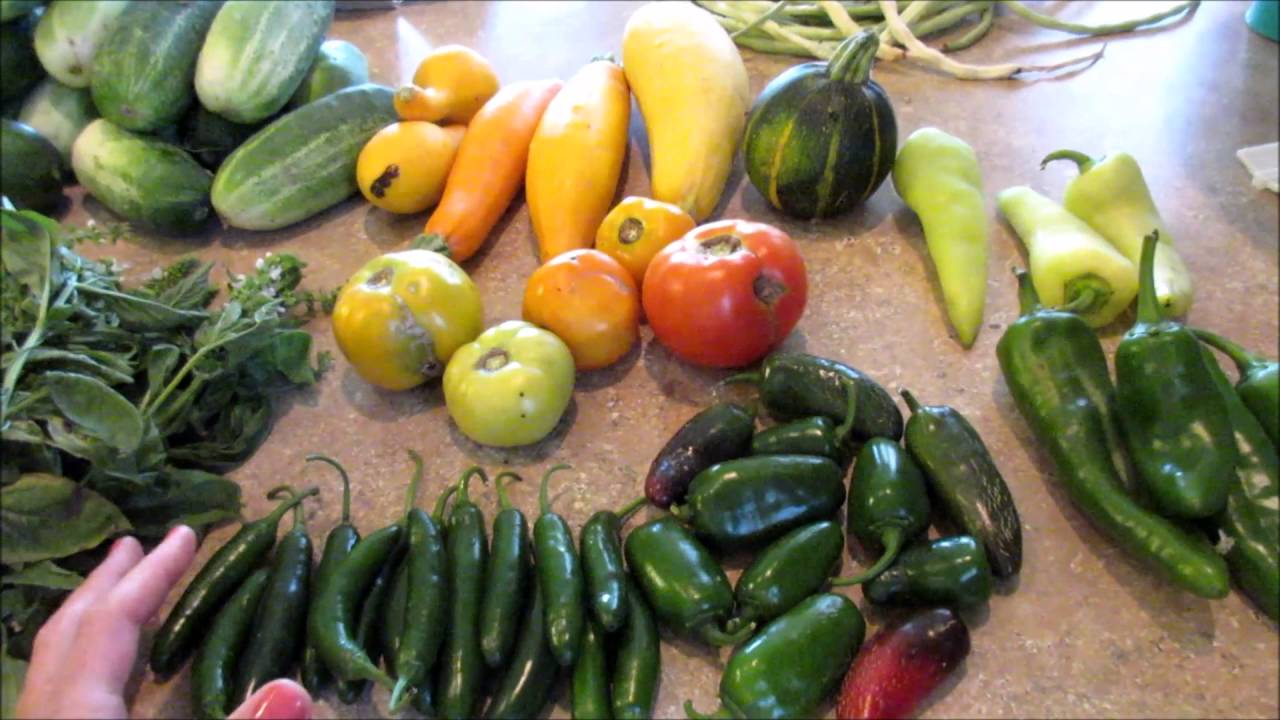 CSA HAUL WEEKS 5, 6 & 7 | SUMMER 2016