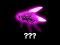 10 Fly Buzzing Sound Variations In 30 Second