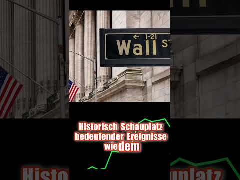 Fakten über die Wall Street #wallstreet #fyp #finanzen #börse