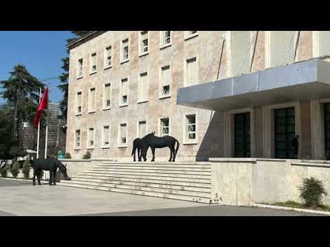 Cuditet qytetaret.Çfarë janë këta 3 kuaj të zinj në derë të Kryeministrisë? Mësohet e verteta