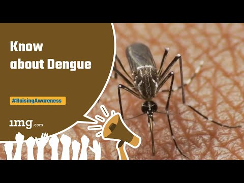 1mg - Dengue Virus : Alert, Diagnosis and Prevention