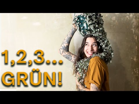 10 Zimmerpflanzen, die wachsen wie UNKRAUT! 🌿💨