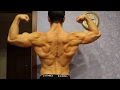 The hell-shredded back! (everyday natural shape)